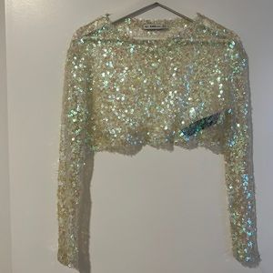 Beautiful Zara Sequin Crop Top